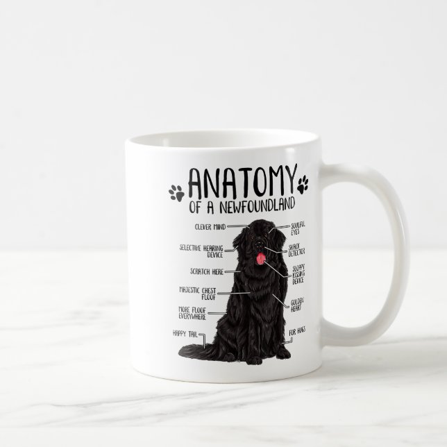 Mug Funny Anatomy Newfoundland Dog Cute Newfie Lover  (Droite)