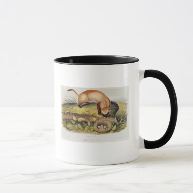 Mug furet Noir-aux pieds (Droite)