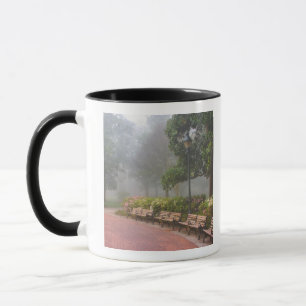 Mug GA Savannah, Azalées le long d'un trottoir en briq