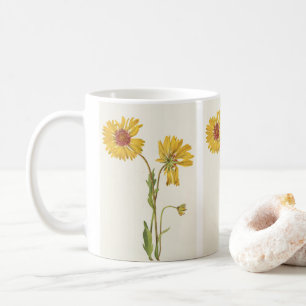 Mug Gaillardia vivace par Mary Vaux Walcott