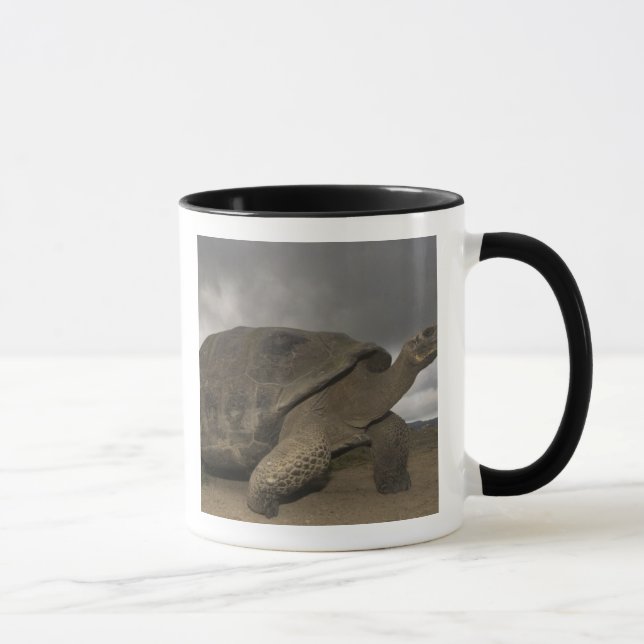 Mug Galapagos Giant Tortoise Geochelone (Droite)