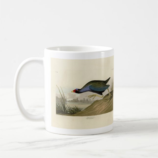 Mug Gallinule violette d'Audubon's Birds of America (Gauche)