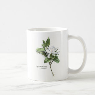 Mug Gardénia Jasminoides (gardénia commun)
