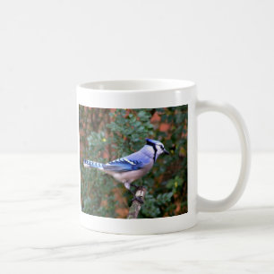 Mug Geai bleu magnifique