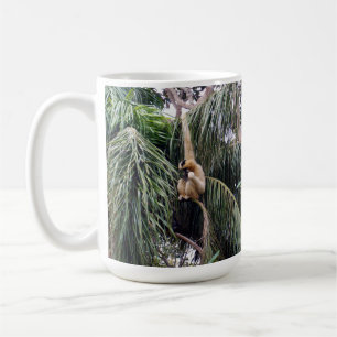 Mug Gibbon, Juste En Train De S'Attaquer,
