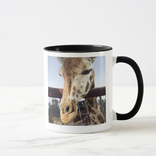 Mug Girafe (Droite)