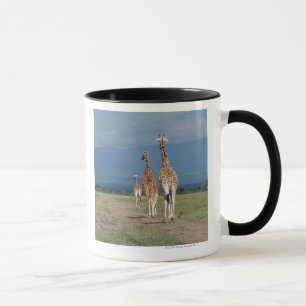 Mug Girafe réticulée (camelopardalis de Giraffa) 2