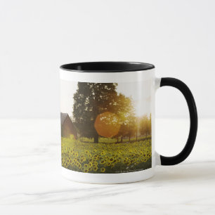 Mug Gisement de tournesol au coucher du soleil avec