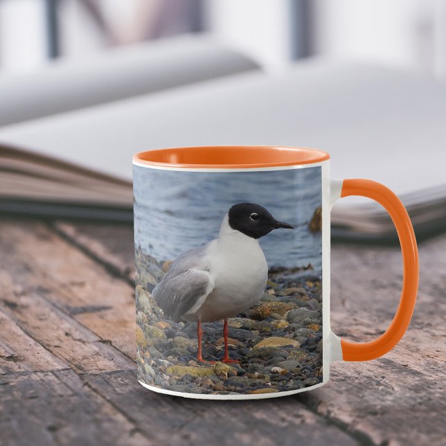 Mug Goéland de Bonaparte à la plage (Bonapartes Gull at Beach 11 oz Coffee Mug Cover Photo)