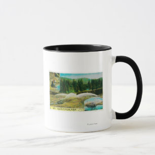 Mug Gold Mining in California State