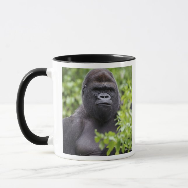 Mug Gorille des plaines à dos argenté, Gorilla gorilla (Gauche)