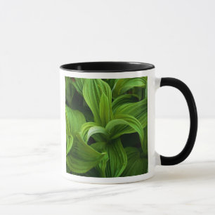 Mug Gouttes de rosée sur un Helabore faux
