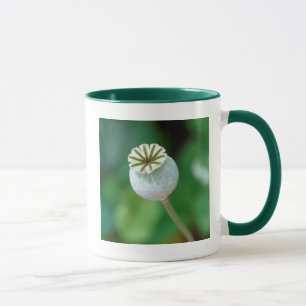 Mug Graine de tête de Fleur de Pavot, Cap-Occidental