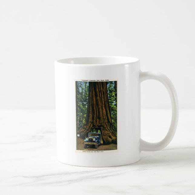 Mug Grand arbre Wawona, verger de Mariposa, CA (Droite)