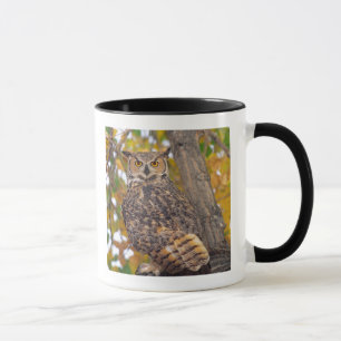 Mug Grand-duc d'Amérique