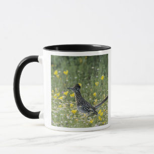 Mug Grand Géocoucou, Geococcyx californianus,