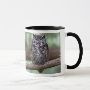 Mug Grand hibou à cornes