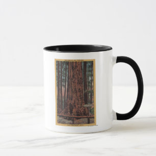 Mug Grand parc d'état d'arbres, CA - arbre de briseur
