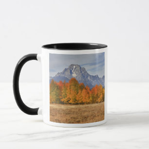 Mug Grand Teton NP, mont Moran et trembles