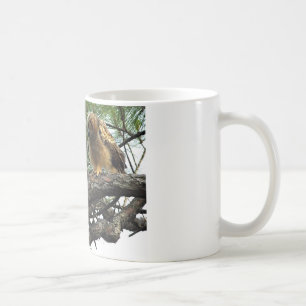 Mug Grands hiboux à cornes