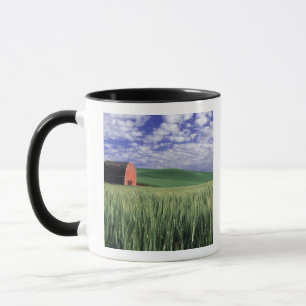 Mug Grange rouge dans un champ de blé et d'orge à Whit