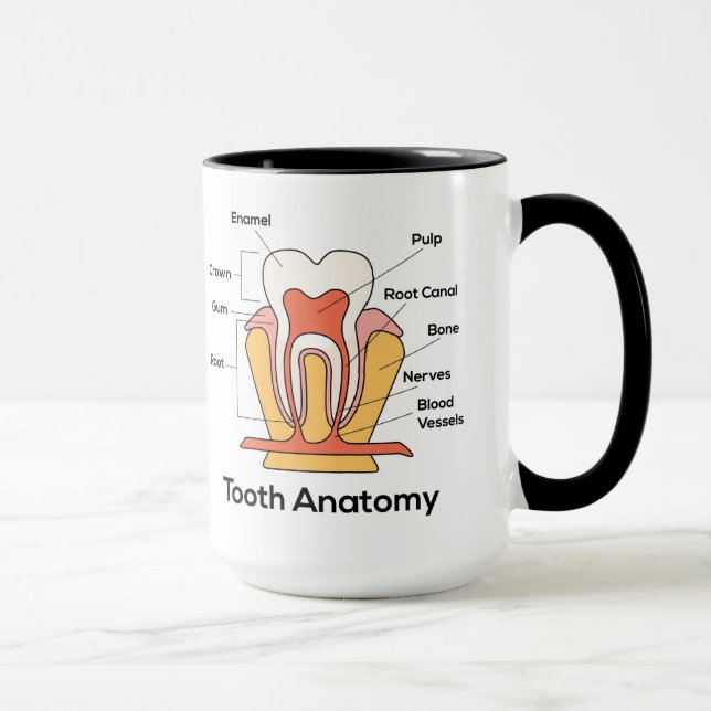 Mug Graphique d'anatomie des dents (Droite)
