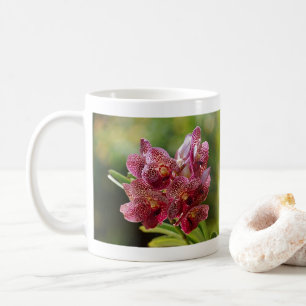 Mug Grappe d'orchidées Vanda tropicales