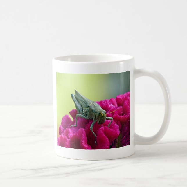 Mug Grasshopper sur Cockscomb (Droite)