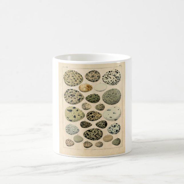 Mug Gravure à l'eau-forte zoologique classique - oeufs (Centre)