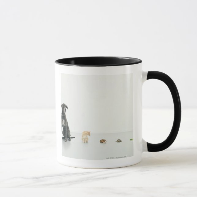 Mug Great dane, chat, cobaye, tortue et lingot (Droite)