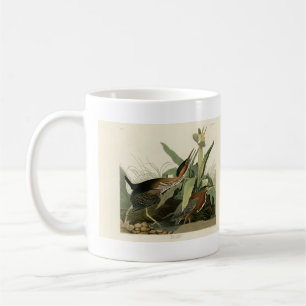 Mug Green Heron, les oiseaux d'Amérique de John James