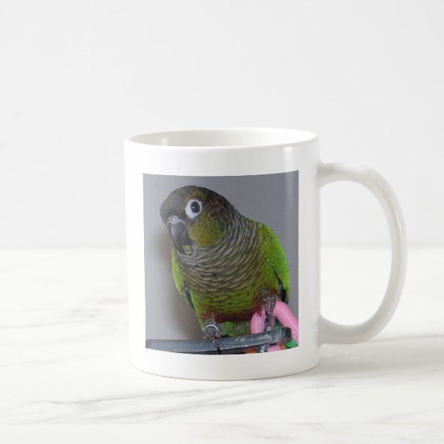 Mug Greencheek adorable Conure (Droite)