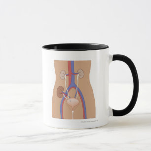 Mug Greffe de rein