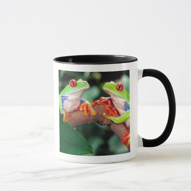 Mug Grenouille aux yeux rouges, Agalychinis callidryas (Droite)
