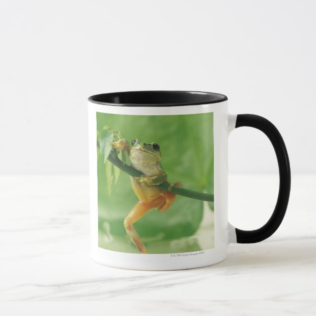 Mug Grenouille d'arbre (Droite)