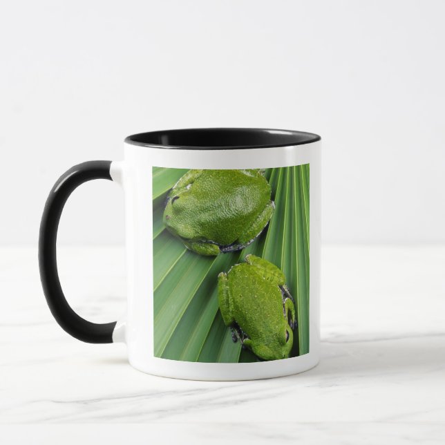 Mug Grenouille d'arbre d'écorcement (gratiosa de hyla) (Gauche)