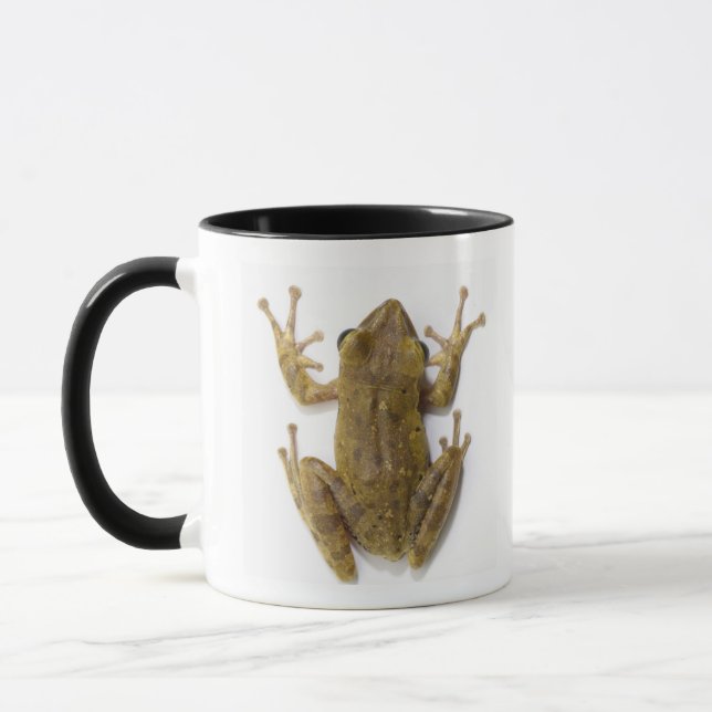 Mug Grenouille d'arbre d'or (Gauche)