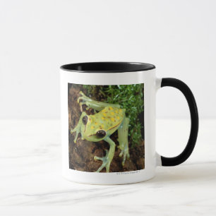 Mug Grenouille d'arbre (Hylidae)