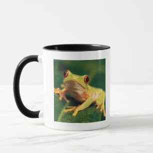 Mug Grenouille d'arbre rouge d'oeil