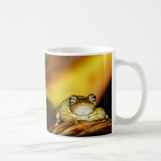 Mug Grenouille de Bouddha