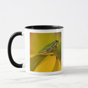 Mug Grenouille du Pacifique sur des fleurs dans notre