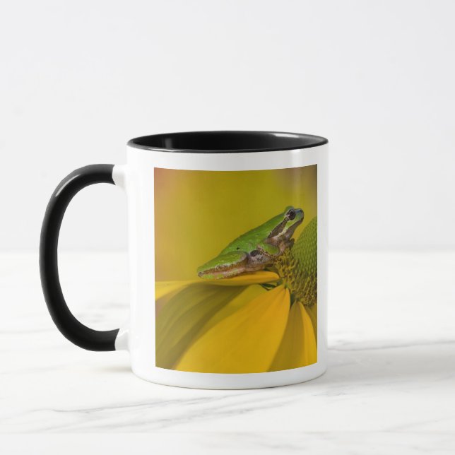 Mug Grenouille du Pacifique sur des fleurs dans notre  (Gauche)