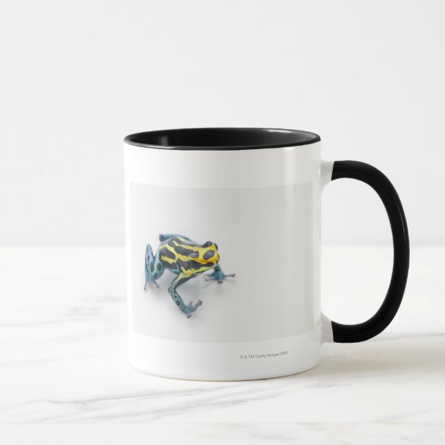 Mug Grenouille noire, jaune et bleue de dard de poison (Droite)