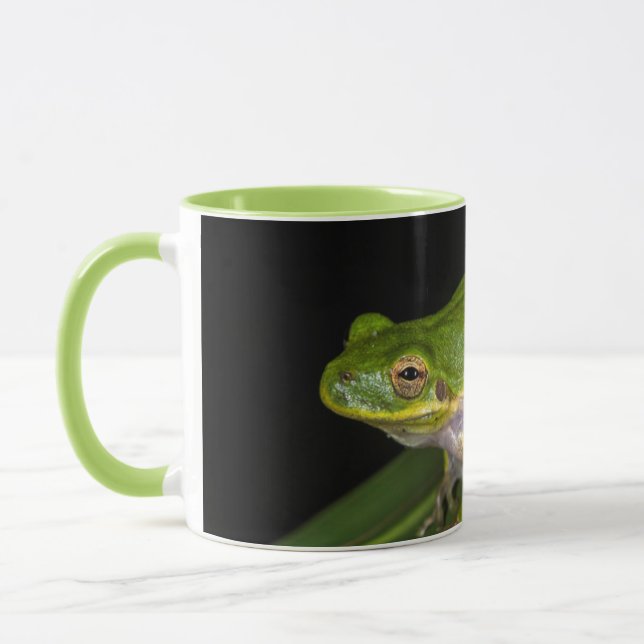 Mug Grenouille verte (Hyla cinerea) 2 (Gauche)