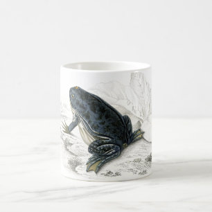 Mug Grenouille vintage