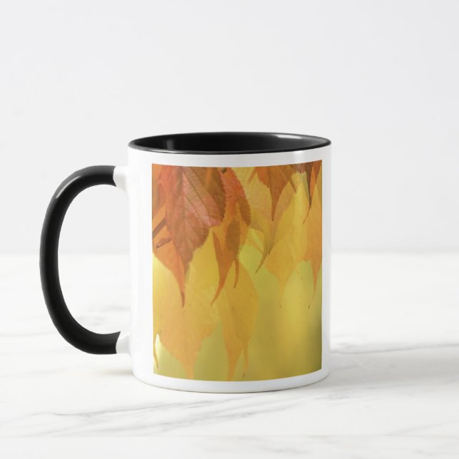 Mug Gros plan sur des feuilles d'automne sur une branc (Gauche)