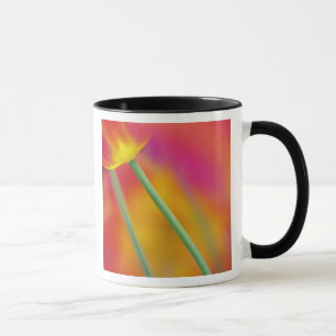 Mug Gros plan sur le dessous de la fleur de tulipe,