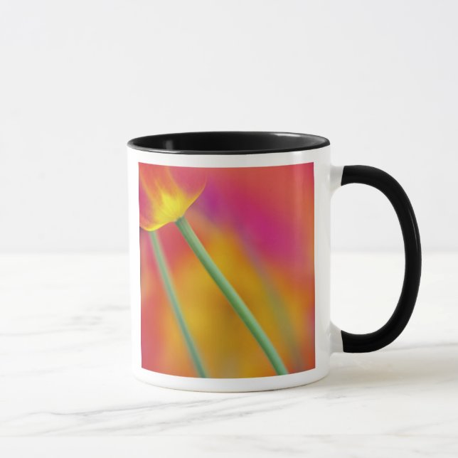 Mug Gros plan sur le dessous de la fleur de tulipe, (Droite)