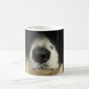 Mug Gros plan sur le nez du chien