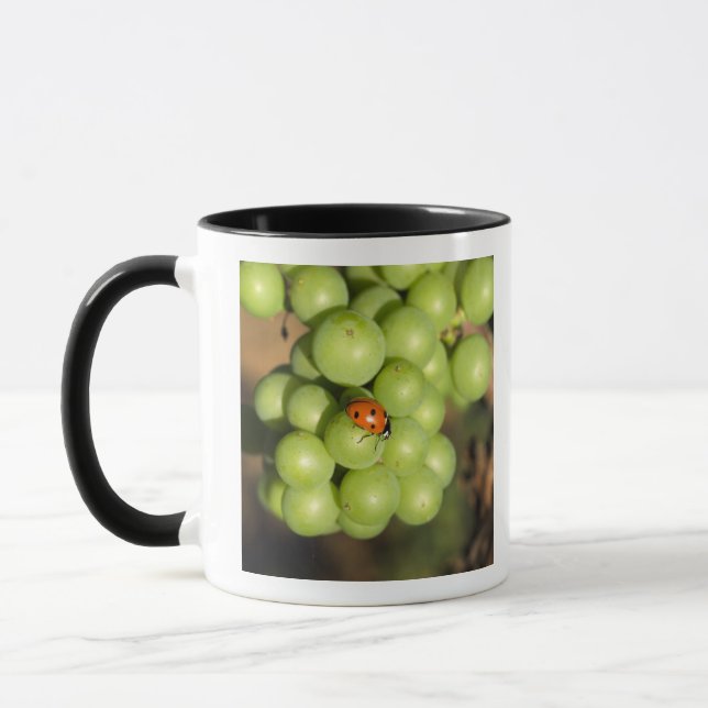 Mug Gros plan sur les raisins verts Pinot Noir (Gauche)